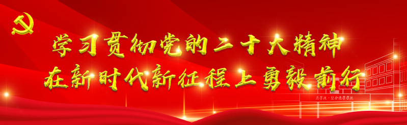 学习二十大